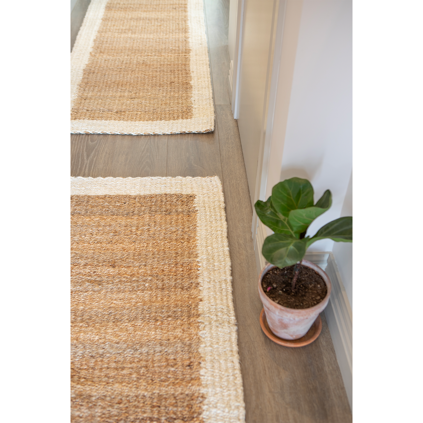 Runner - Woven-Border Jute - Natural/Cream