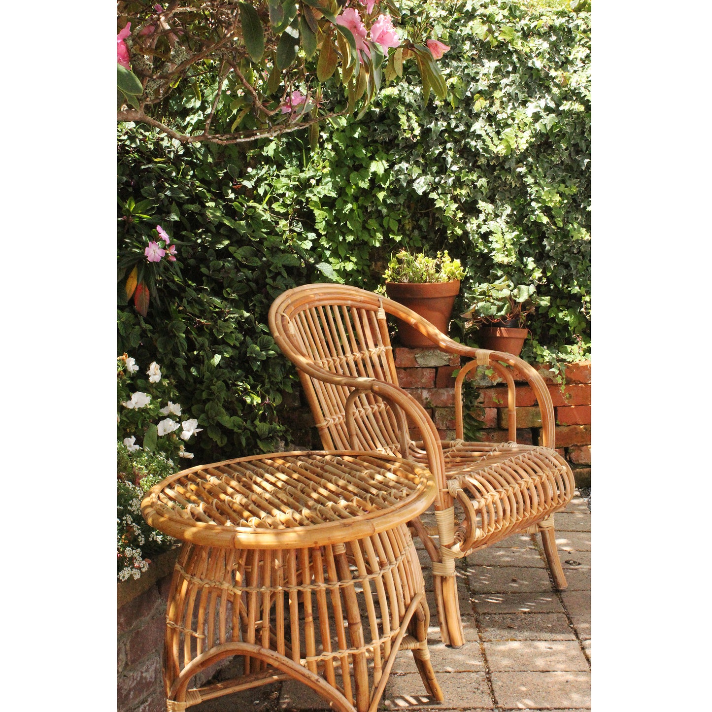 Our Famous Gin Chair Range