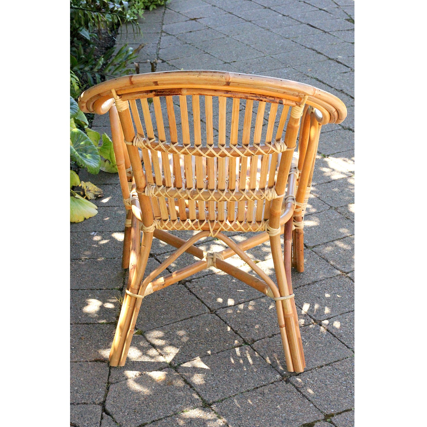 Our Famous Gin Chair Range