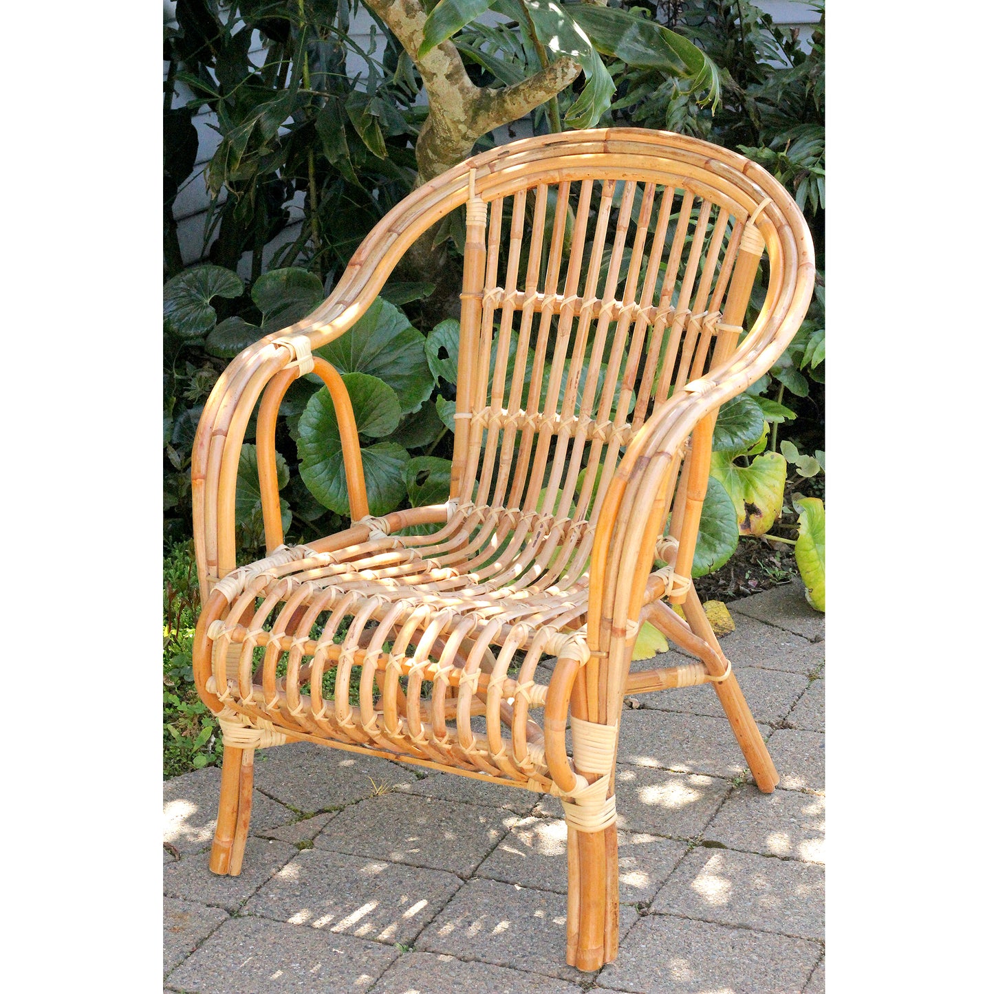 Our Famous Gin Chair Range